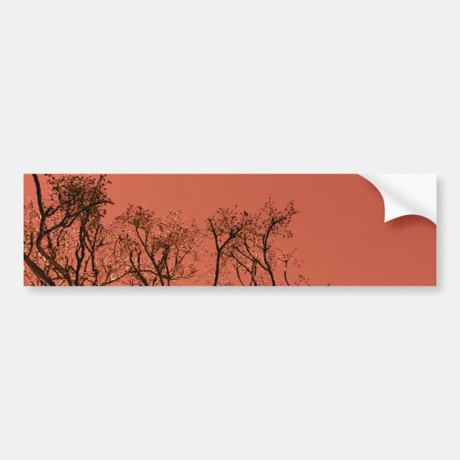 Baum mit rotem Himmel Autoaufkleber (Vorne)