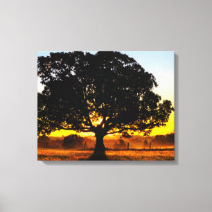 Baum morgens leinwanddruck