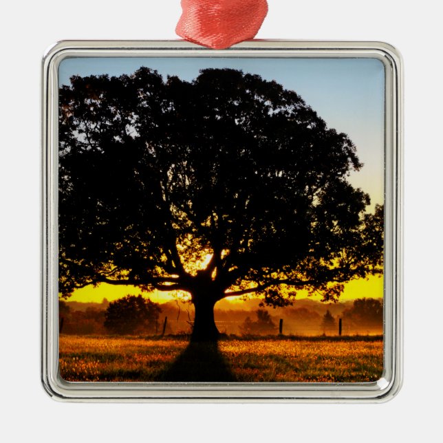 Baum morgens silbernes ornament (Vorne)
