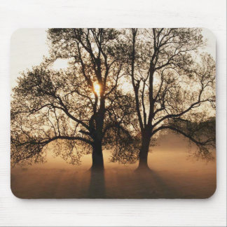 Baum Mousepad