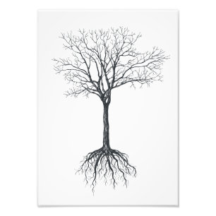 Baum ohne Blätter Fotodruck