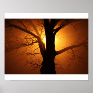Baum Poster