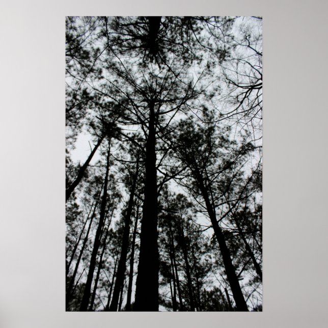 Baum Poster (Vorne)
