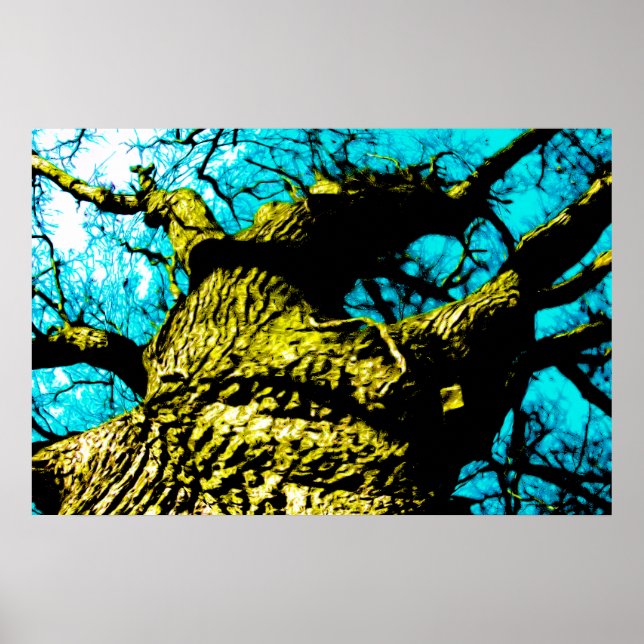 Baum Poster (Vorne)