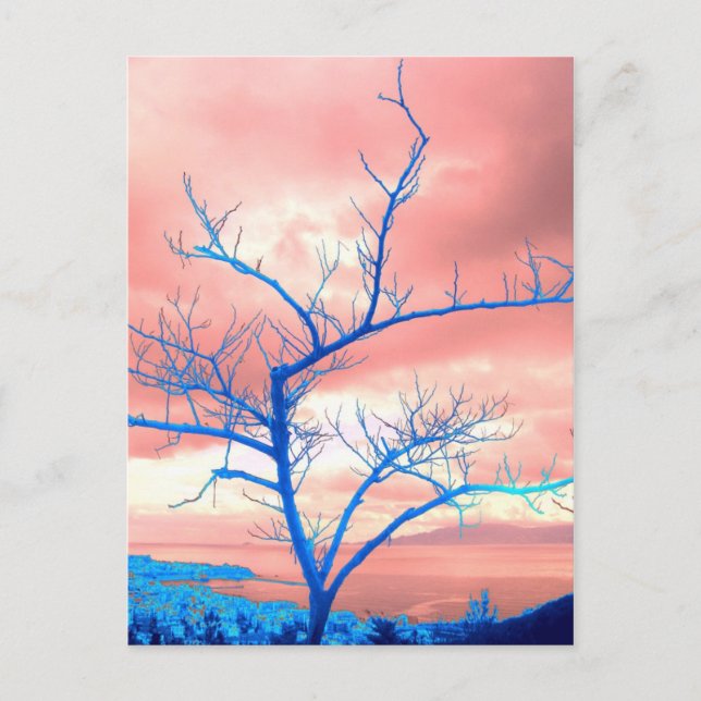 Baum Postkarte (Vorderseite)