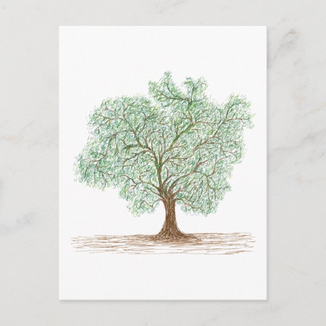 Baum Postkarte (Vorderseite)