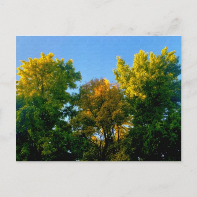 Baum Postkarte (Vorderseite)