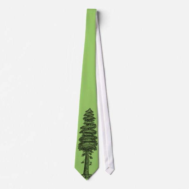 Baum Redwood tree Krawatte (Vorderseite)