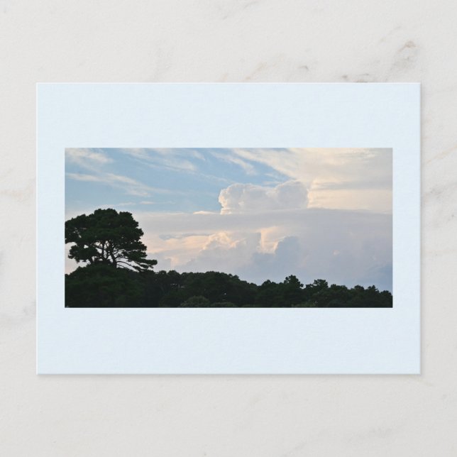 Baum-Silhouette mit Wolken Postkarte (Vorderseite)