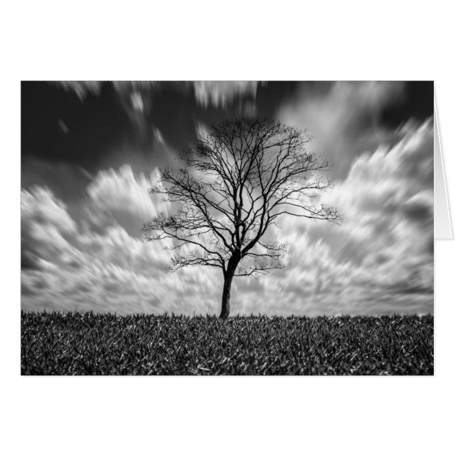 Baum-Silhouette-Schwarzweiss-Landschaft (Vorderseite (Horizontal))