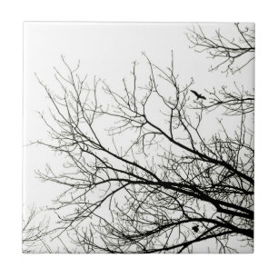 Baum-Silhouetten - Fliese