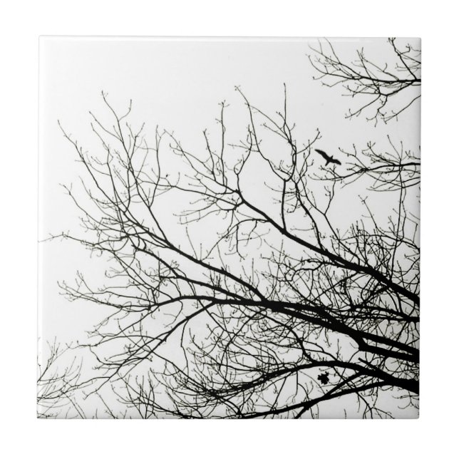 Baum-Silhouetten - Fliese (Vorderseite)