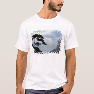 Baum silhouettiert bei Sonnenaufgang, Gelber Berg, T-Shirt