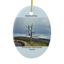 Baum-Skyline-Antrieb