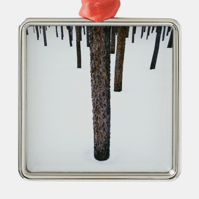 Baum-Stämme im Schnee Ornament Aus Metall (Vorne)