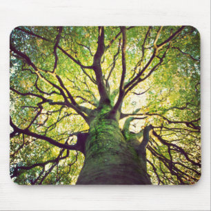 Baum-Umarmen Mousepad