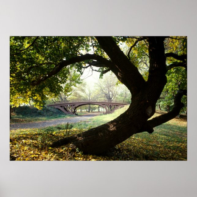 Baum und Brücke im Central Park Poster (Vorne)