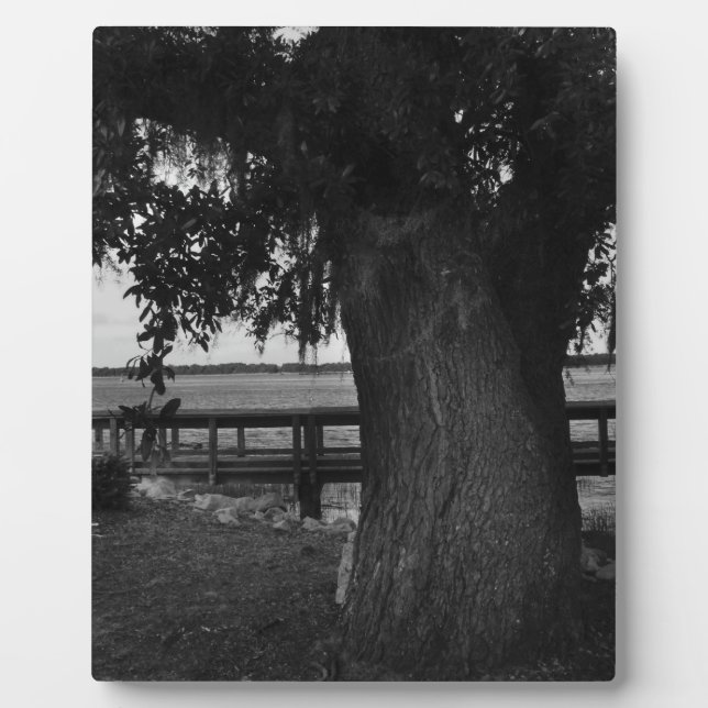 Baum und Dock am Wasser Fotoplatte (Vorderseite)
