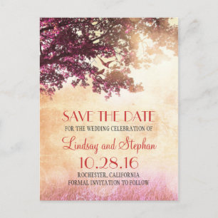 Baum und liebende Vögel rustikal Save the Date Vin Ankündigungspostkarte
