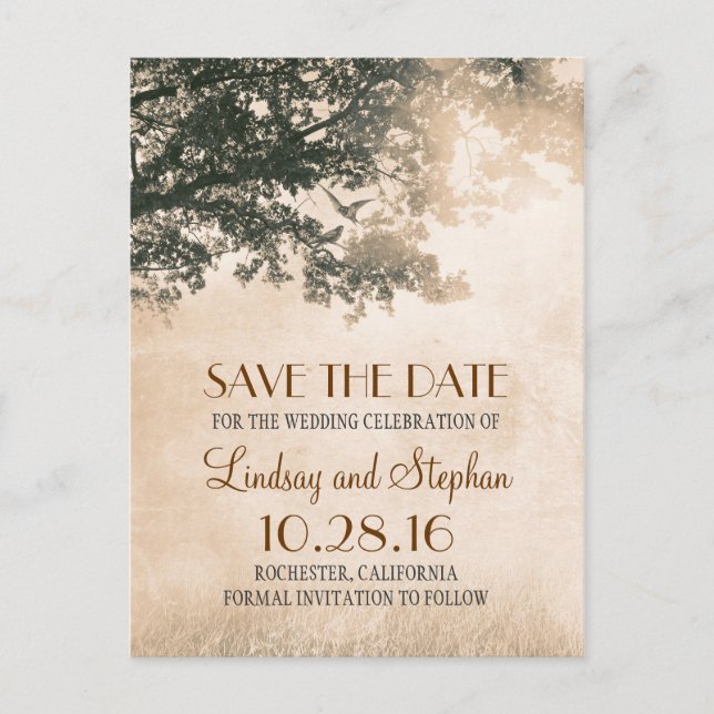 Baum und liebende Vögel rustikal Save the Date Vin Ankündigungspostkarte (Vorderseite)