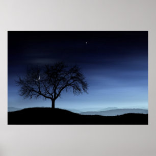Baum und Mond Poster