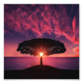 Baum und Sonne Fotodruck