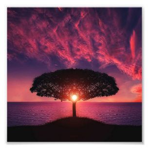 Baum und Sonne Fotodruck