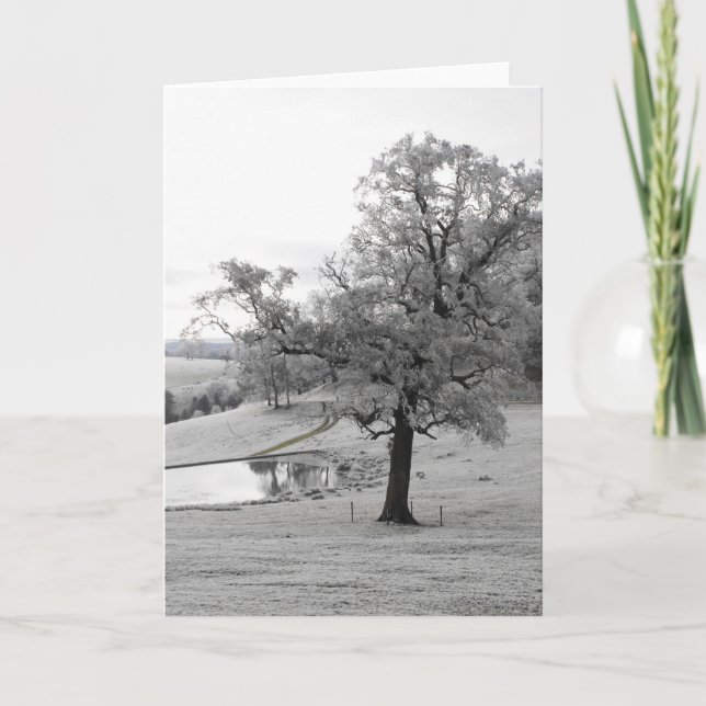 Baum und Teich Feiertagskarte (Vorderseite)