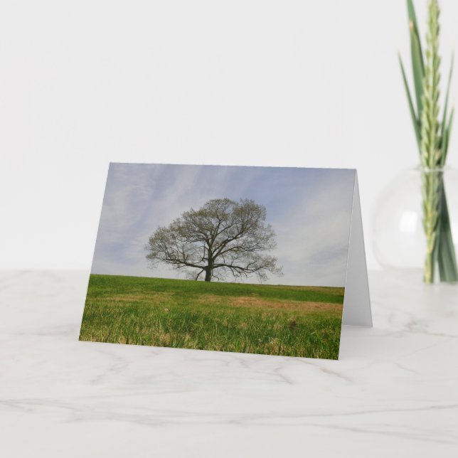 Baum von Leben Karte (Vorderseite)