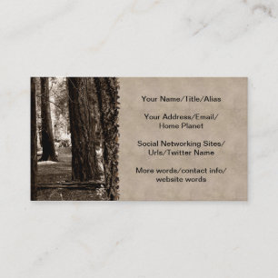 BAUM-WEG VISITENKARTE