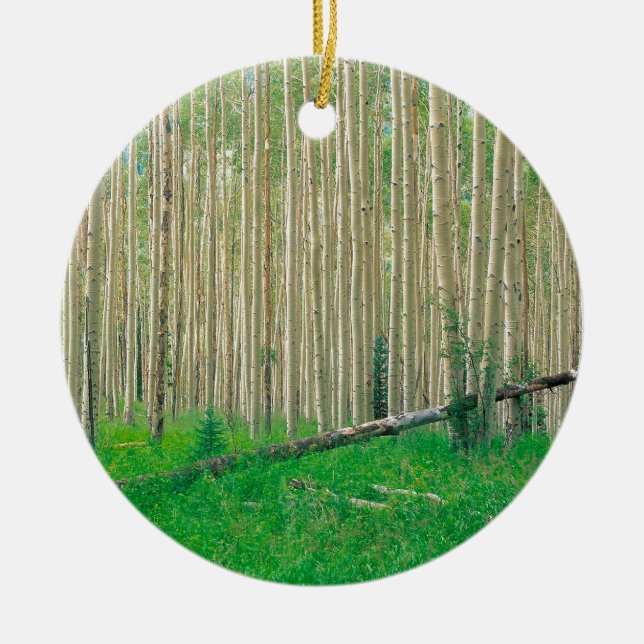 Baumaspen-Waldung Colorado Keramikornament (Vorne)