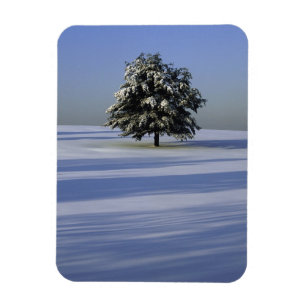 Baumbestand in schneebedeckter Landschaft Magnet