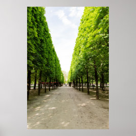 Baumbestandene Promenade Poster