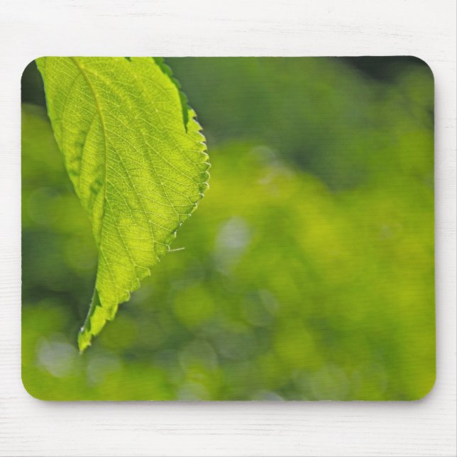 Baumblatt-Bokeh Mousepad (Vorne)