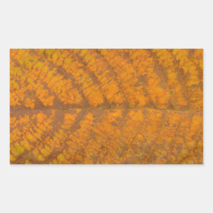 Baumblattstruktur im Hintergrund Rechteckiger Aufkleber