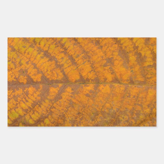 Baumblattstruktur im Hintergrund Rechteckiger Aufkleber (Vorderseite)
