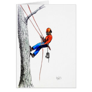 Baumchirurg Arborist Forester