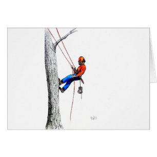 Baumchirurg Arborist Forester