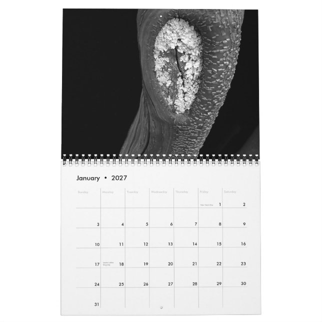 Bäume 2010 kalender (Jan 2027)