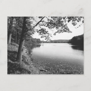 Bäume am Fluss B&W Postkarte