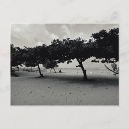 Bäume am Strand von Sanur in Bali Postkarte