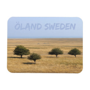 Bäume an der Savannah, Öland, Schweden Magnet