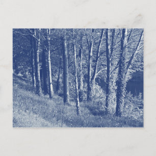 Bäume an einem Fluss - Cyanotypie-Effekt Postkarte