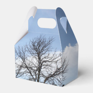 Bäume an einem sonnigen Wintertag Geschenkschachtel