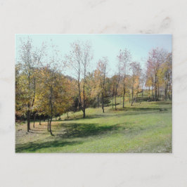 Bäume auf der Postkarte für das Foto Slope 2004