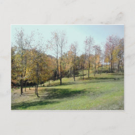 Bäume auf der Postkarte für das Foto Slope 2004
