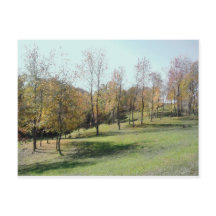 Bäume auf der Postkarte für das Foto Slope 2004