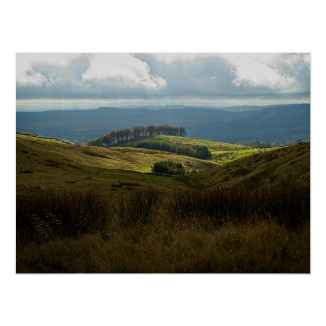 Bäume auf sonnenbeleuchteten Hügeln im Frühherbst Poster (Vorderseite)