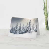 Bäume bedeckt mit Hoarfrost und Schnee