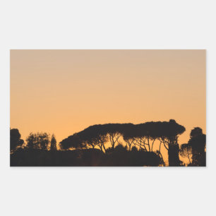 Bäume bei Sonnenuntergang im Hintergrund in Rom Rechteckiger Aufkleber